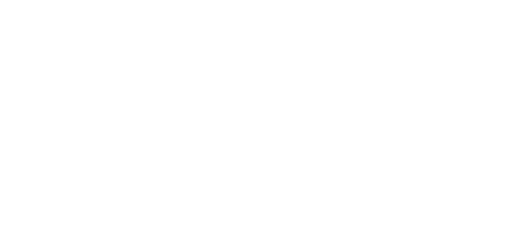 Apepay logo white